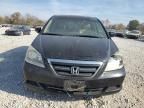 2007 Honda Odyssey EXL