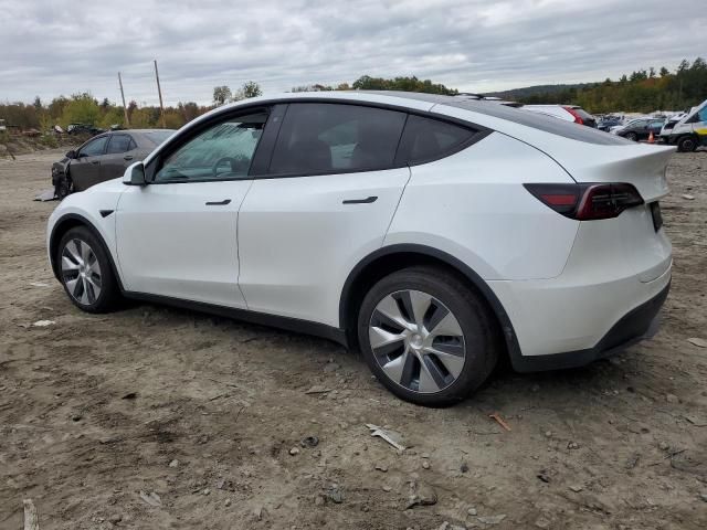 2020 Tesla Model Y