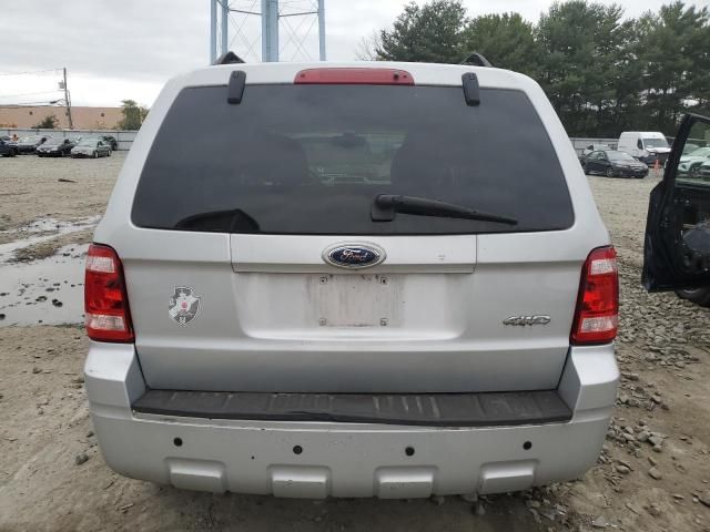 2008 Ford Escape XLT