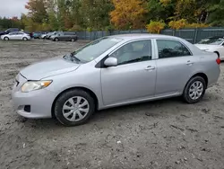 Salvage cars for sale at Candia, NH auction: 2010 Toyota Corolla Base