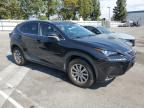 2019 Lexus NX 300H