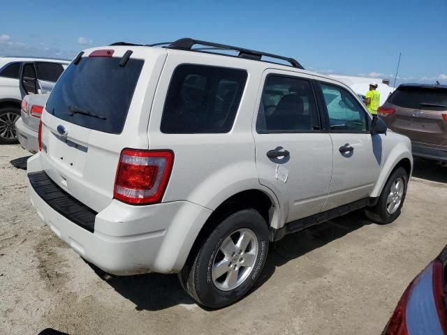 2011 Ford Escape XLT