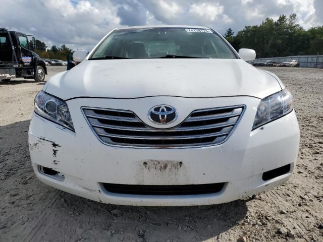 2009 Toyota Camry Hybrid