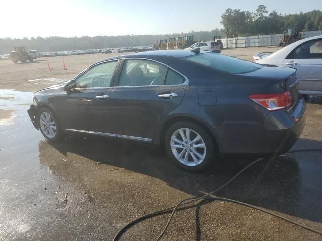 2010 Lexus ES 350