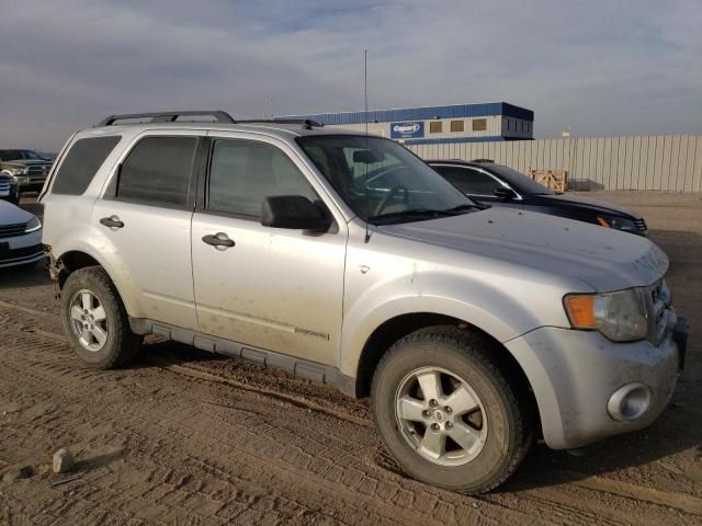 2008 Ford Escape XLT