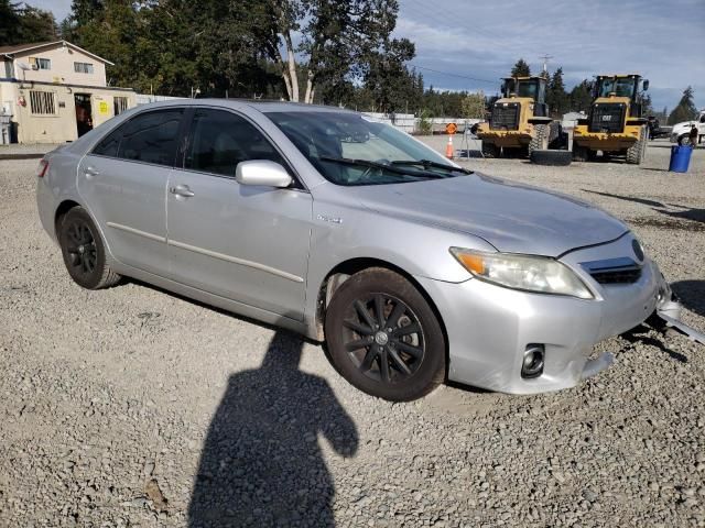 2010 Toyota Camry Hybrid