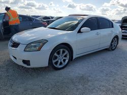 2008 Nissan Maxima SE en venta en Arcadia, FL