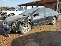 Nissan Vehiculos salvage en venta: 2010 Nissan Altima Hybrid