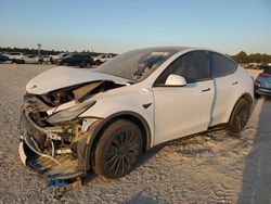 Salvage cars for sale at Houston, TX auction: 2023 Tesla Model Y