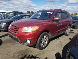 Salvage cars for sale at New Britain, CT auction: 2010 Hyundai Santa FE SE