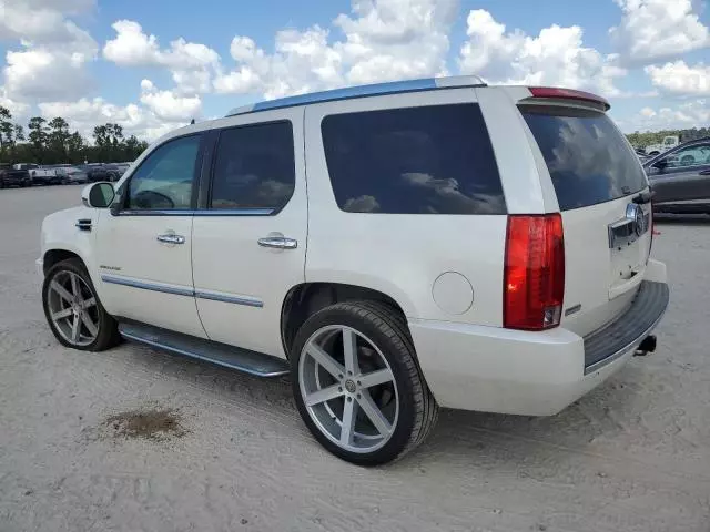 2010 Cadillac Escalade