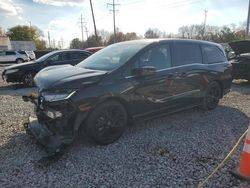 Honda Odyssey sp salvage cars for sale: 2024 Honda Odyssey Sport