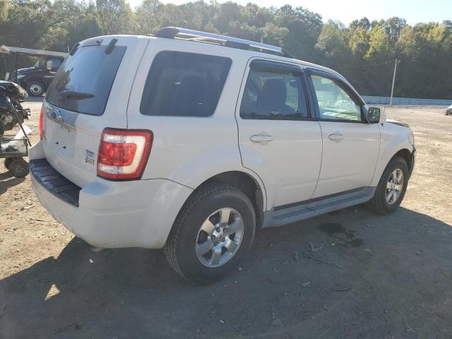 2011 Ford Escape Limited