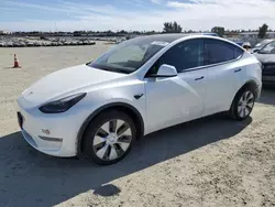 Salvage cars for sale at Antelope, CA auction: 2023 Tesla Model Y