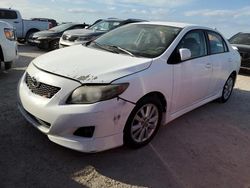 Salvage cars for sale at Arcadia, FL auction: 2010 Toyota Corolla Base