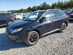 Salvage cars for sale at Memphis, TN auction: 2010 Lexus RX 350