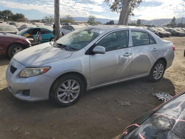 2009 Toyota Corolla Base