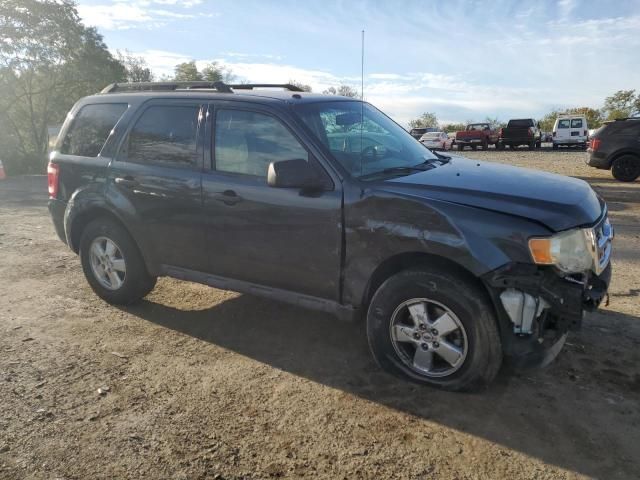 2009 Ford Escape XLT