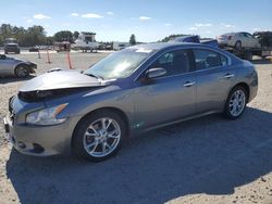 Nissan Vehiculos salvage en venta: 2014 Nissan Maxima S