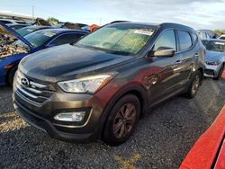 Salvage cars for sale at Riverview, FL auction: 2014 Hyundai Santa FE Sport