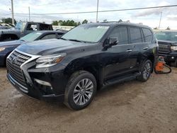 2023 Lexus GX 460 Luxury en venta en Riverview, FL