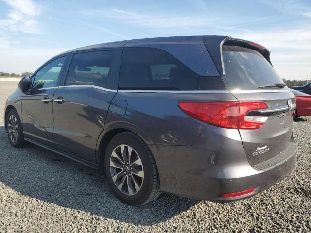 2021 Honda Odyssey EXL