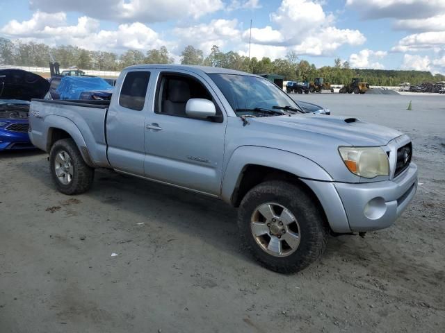 2005 Toyota Tacoma Prerunner Access Cab