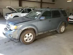 Ford Vehiculos salvage en venta: 2012 Ford Escape XLT