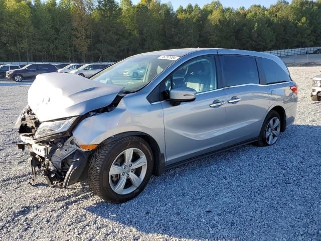 2019 Honda Odyssey EXL