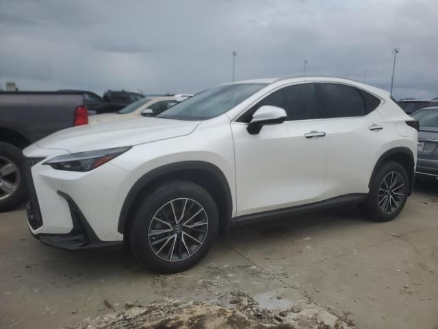 2024 Lexus NX 350H Base