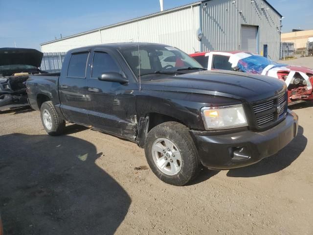 2010 Dodge Dakota SXT