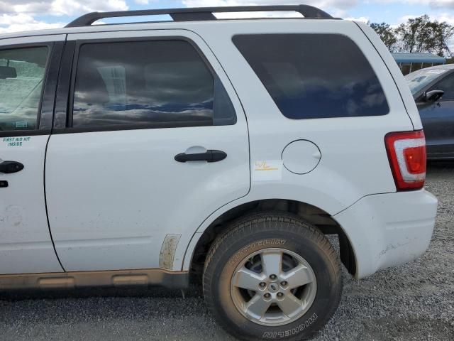 2010 Ford Escape XLT