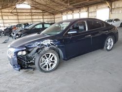 Nissan salvage cars for sale: 2009 Nissan Maxima S