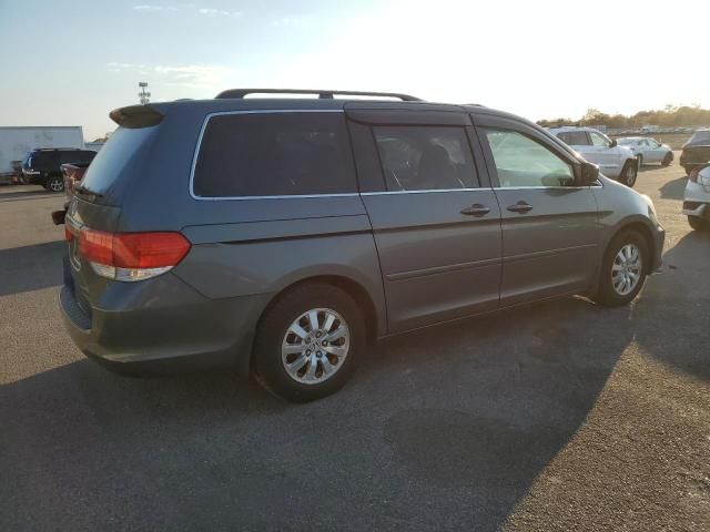 2008 Honda Odyssey EXL