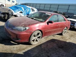 Salvage cars for sale at Albuquerque, NM auction: 2005 Toyota Camry LE