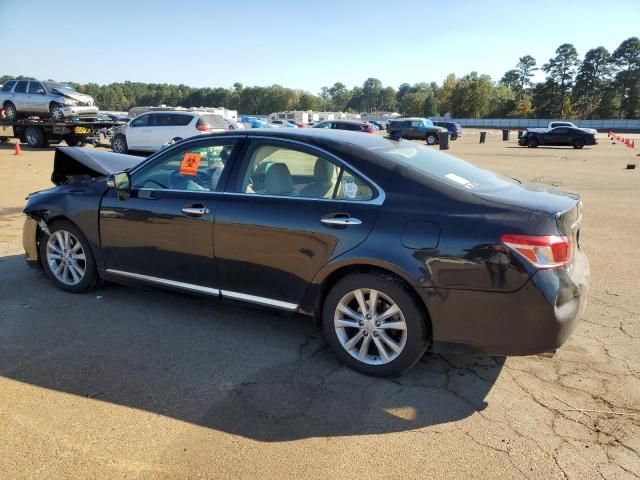 2010 Lexus ES 350