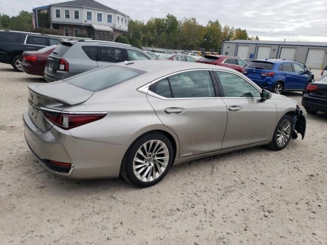 2021 Lexus ES 300H Luxury