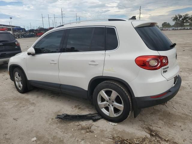 2010 Volkswagen Tiguan S