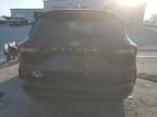 2024 Ford Escape ST Line