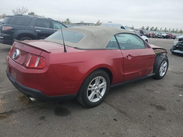 2011 Ford Mustang