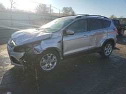 Ford Escape sel salvage cars for sale: 2013 Ford Escape SEL