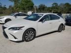 2021 Lexus ES 350 Base