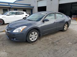 Salvage cars for sale from Copart Fort Pierce, FL: 2012 Nissan Altima Base