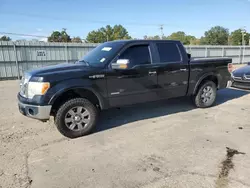 Ford f150 Supercrew salvage cars for sale: 2011 Ford F150 Supercrew