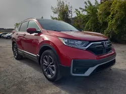 Honda salvage cars for sale: 2020 Honda CR-V EXL