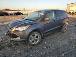 Ford Vehiculos salvage en venta: 2014 Ford Escape SE