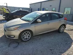 Salvage cars for sale at Arcadia, FL auction: 2015 Ford Focus SE