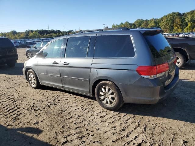 2010 Honda Odyssey EXL