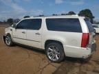 2012 Cadillac Escalade ESV Platinum