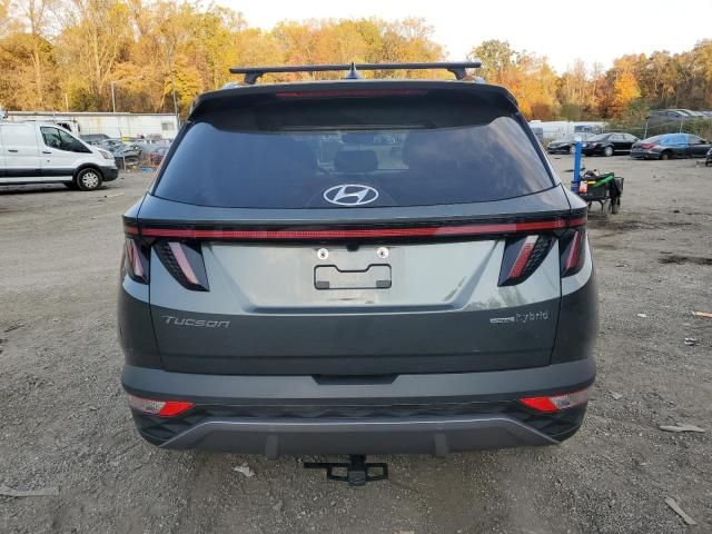 2023 Hyundai Tucson Limited